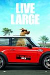 Film: "Marmaduke - pies na fali" - plakat